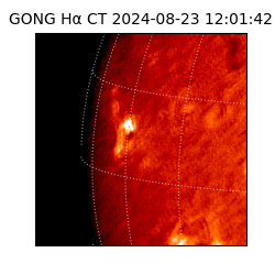 gong - 2024-08-23T12:01:42