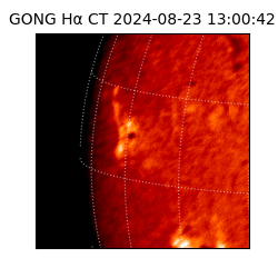 gong - 2024-08-23T13:00:42