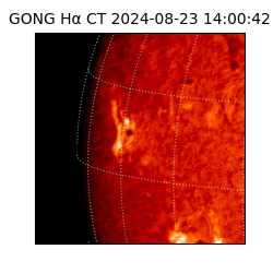 gong - 2024-08-23T14:00:42