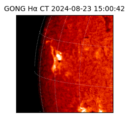 gong - 2024-08-23T15:00:42