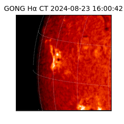gong - 2024-08-23T16:00:42