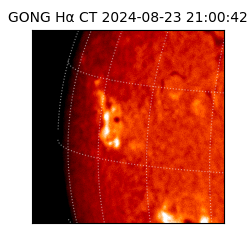 gong - 2024-08-23T21:00:42