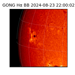 gong - 2024-08-23T22:00:02