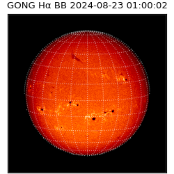 gong - 2024-08-23T01:00:02