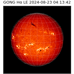 gong - 2024-08-23T04:13:42