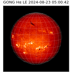 gong - 2024-08-23T05:00:42