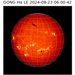 gong - 2024-08-23T06:00:42