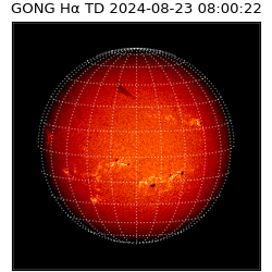 gong - 2024-08-23T08:00:22