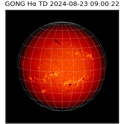 gong - 2024-08-23T09:00:22