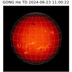 gong - 2024-08-23T11:00:22