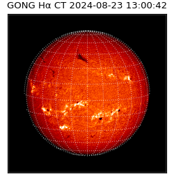 gong - 2024-08-23T13:00:42