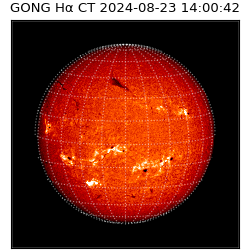 gong - 2024-08-23T14:00:42