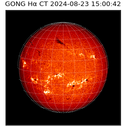 gong - 2024-08-23T15:00:42