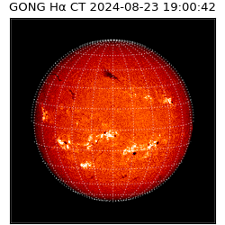 gong - 2024-08-23T19:00:42