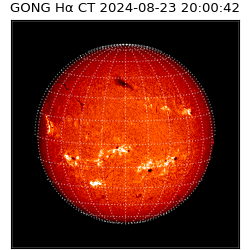 gong - 2024-08-23T20:00:42