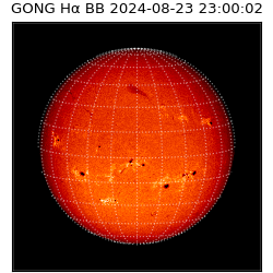 gong - 2024-08-23T23:00:02