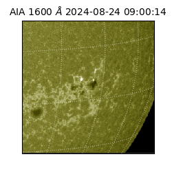 saia - 2024-08-24T09:00:14.126000