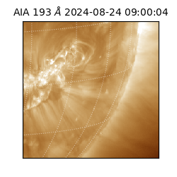 saia - 2024-08-24T09:00:04.844000