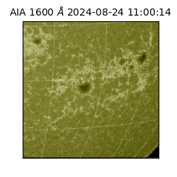 saia - 2024-08-24T11:00:14.126000