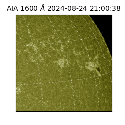 saia - 2024-08-24T21:00:38.129000