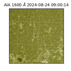 saia - 2024-08-24T09:00:14.126000