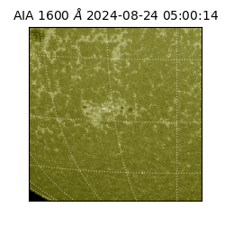 saia - 2024-08-24T05:00:14.130000