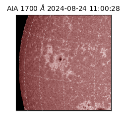 saia - 2024-08-24T11:00:28.718000