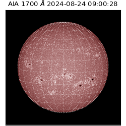 saia - 2024-08-24T09:00:28.717000