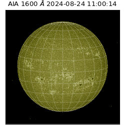 saia - 2024-08-24T11:00:14.126000