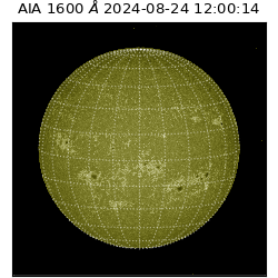 saia - 2024-08-24T12:00:14.118000