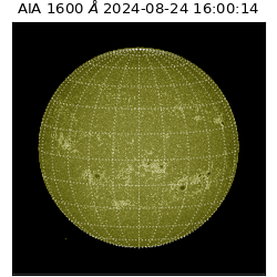 saia - 2024-08-24T16:00:14.122000