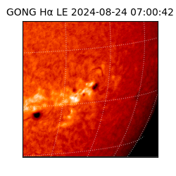 gong - 2024-08-24T07:00:42