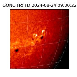 gong - 2024-08-24T09:00:22