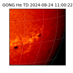 gong - 2024-08-24T11:00:22