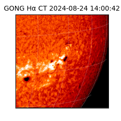 gong - 2024-08-24T14:00:42