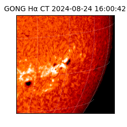 gong - 2024-08-24T16:00:42