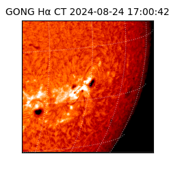 gong - 2024-08-24T17:00:42