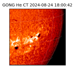 gong - 2024-08-24T18:00:42