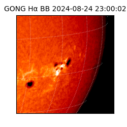 gong - 2024-08-24T23:00:02