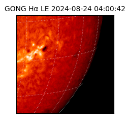 gong - 2024-08-24T04:00:42