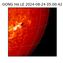 gong - 2024-08-24T05:00:42