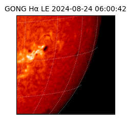 gong - 2024-08-24T06:00:42