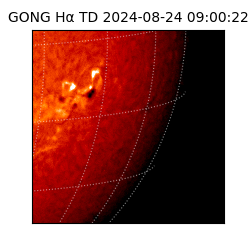 gong - 2024-08-24T09:00:22