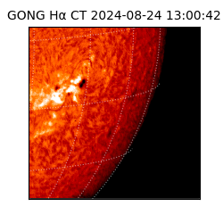 gong - 2024-08-24T13:00:42