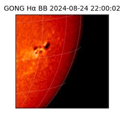gong - 2024-08-24T22:00:02