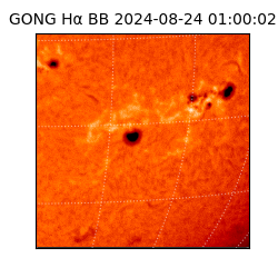 gong - 2024-08-24T01:00:02