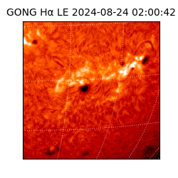 gong - 2024-08-24T02:00:42