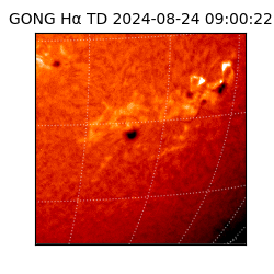 gong - 2024-08-24T09:00:22