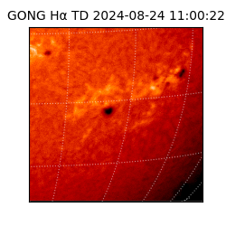 gong - 2024-08-24T11:00:22