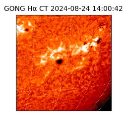 gong - 2024-08-24T14:00:42